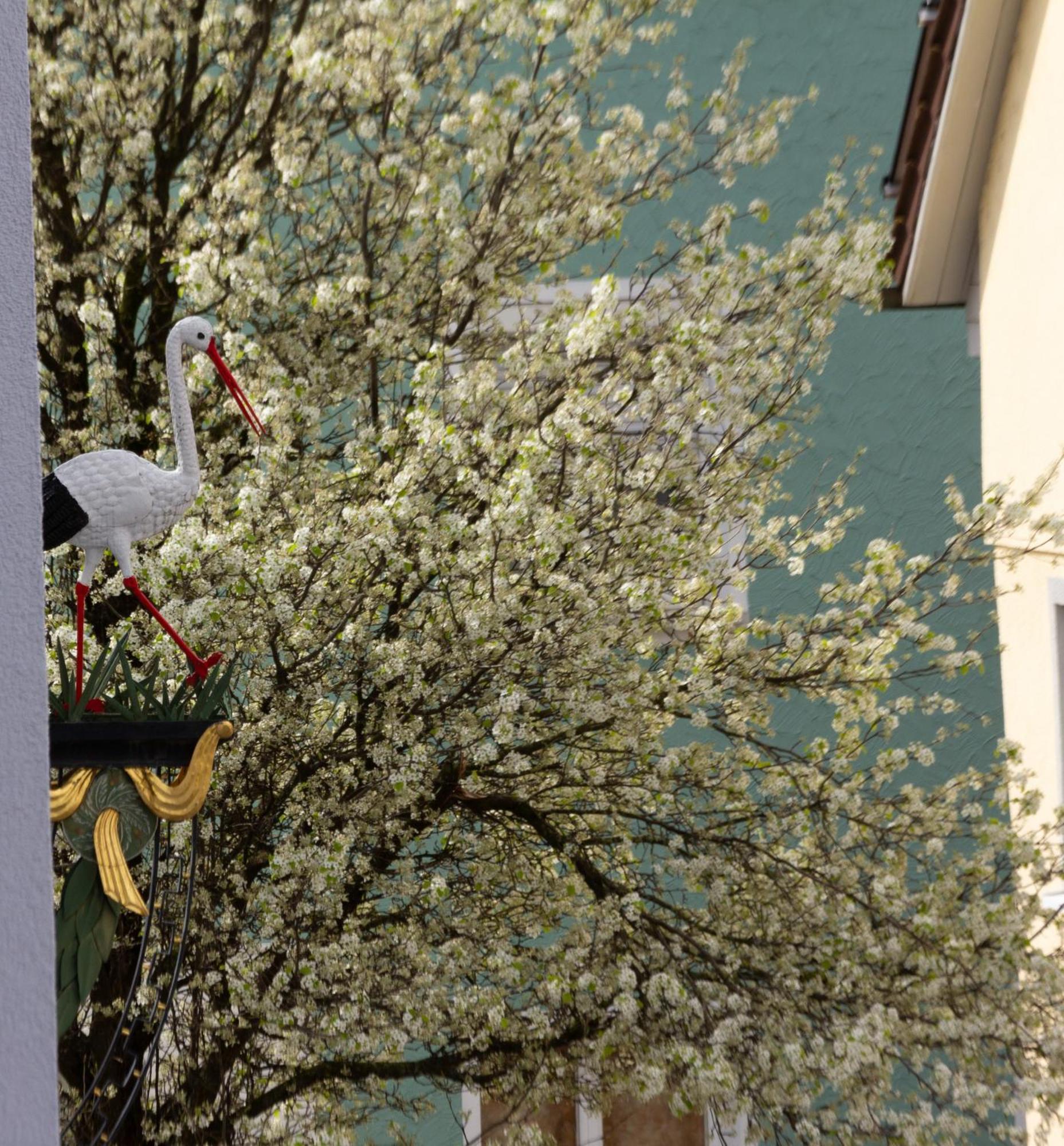 Storchennest - Schoenes, Ruhiges Apartment Mit Sonnenterrasse เทตต์นัง ภายนอก รูปภาพ